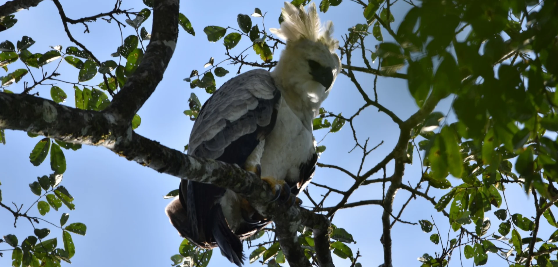cuyabeno-tours