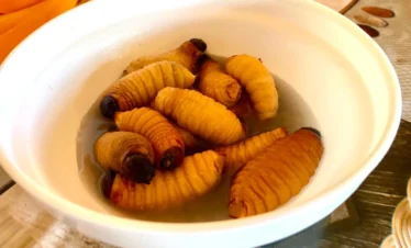 cuyabeno y limoncocha